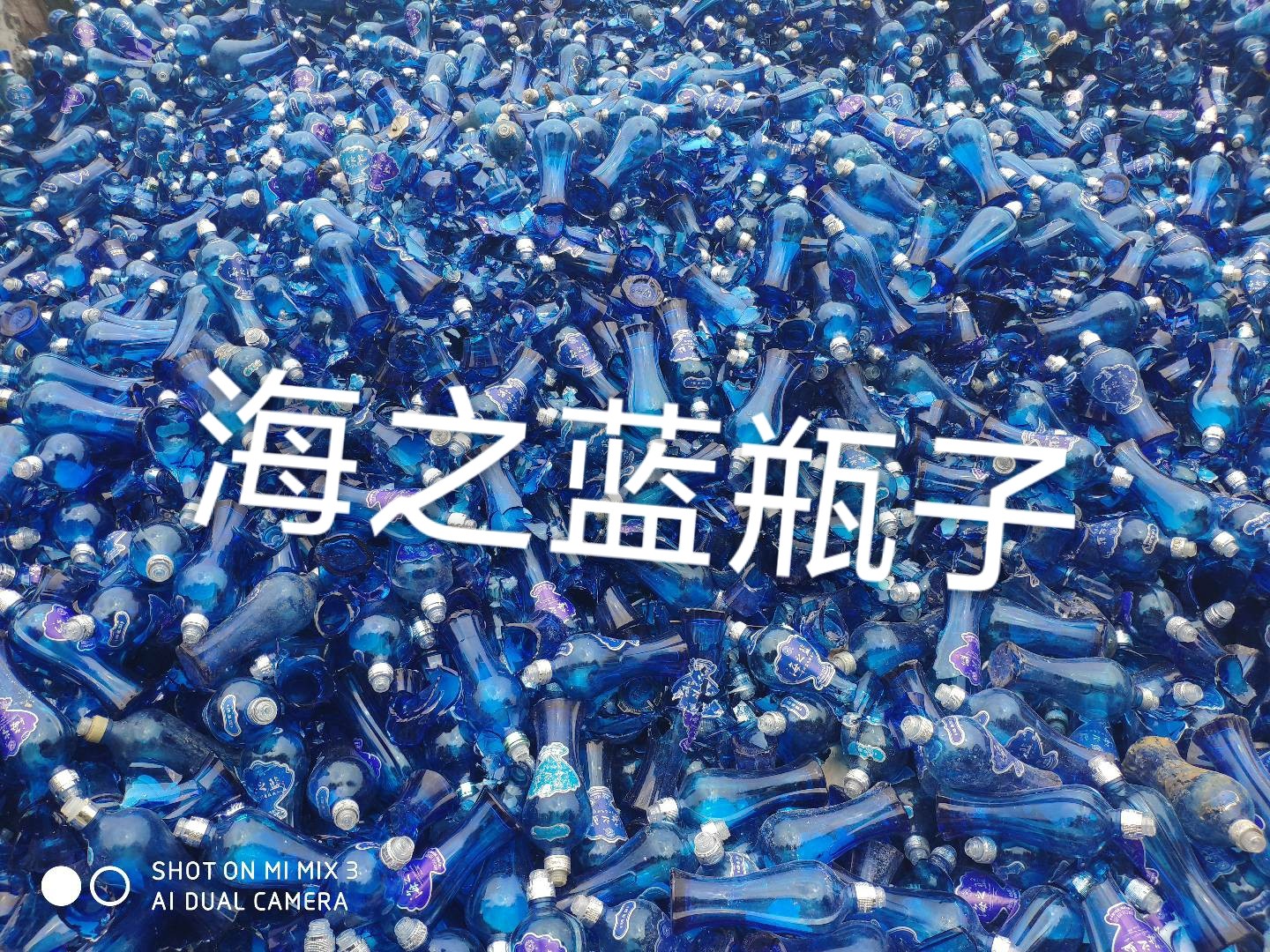 滨海海之蓝瓶回收