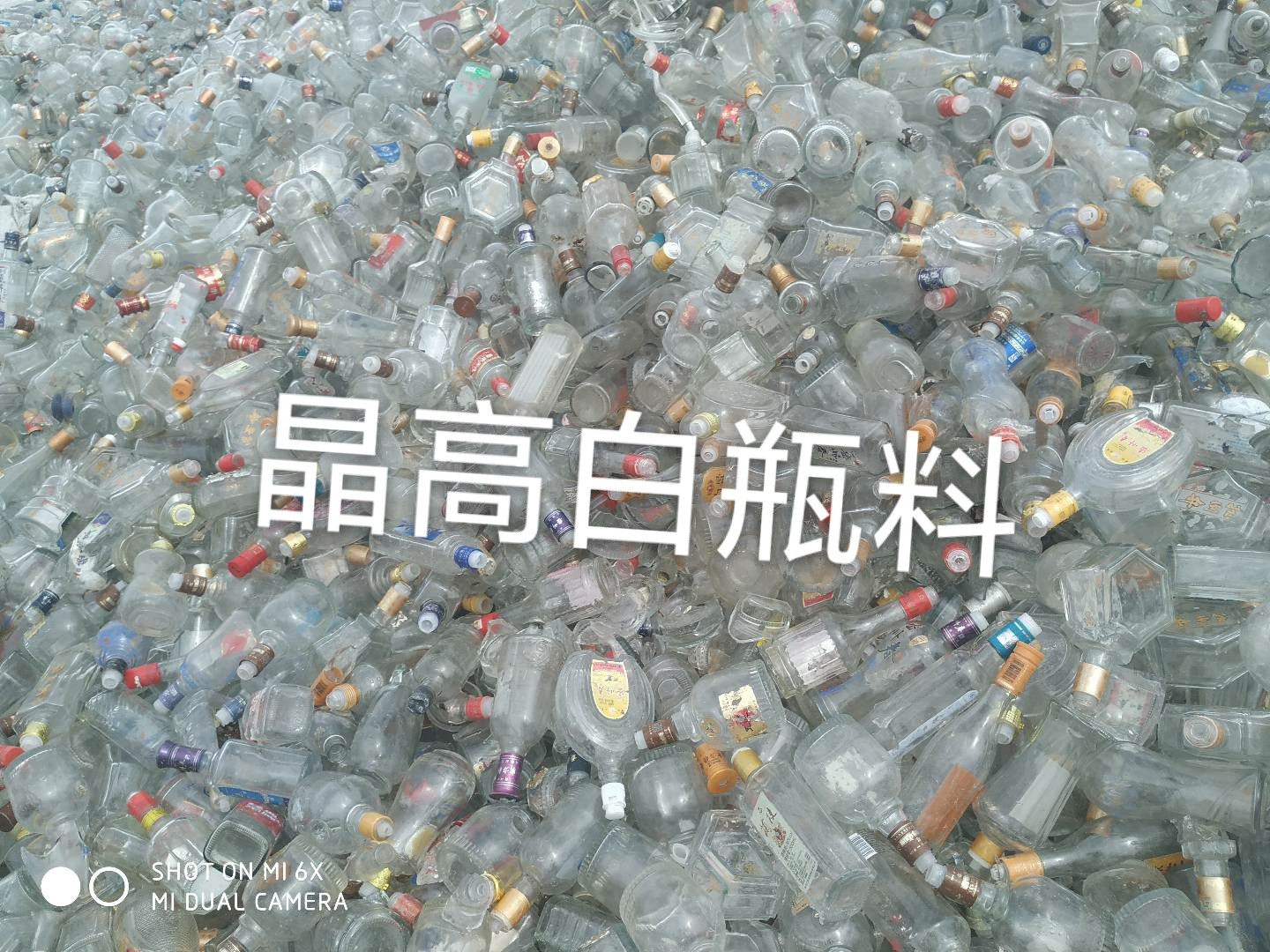 滨海晶高白瓶料回收