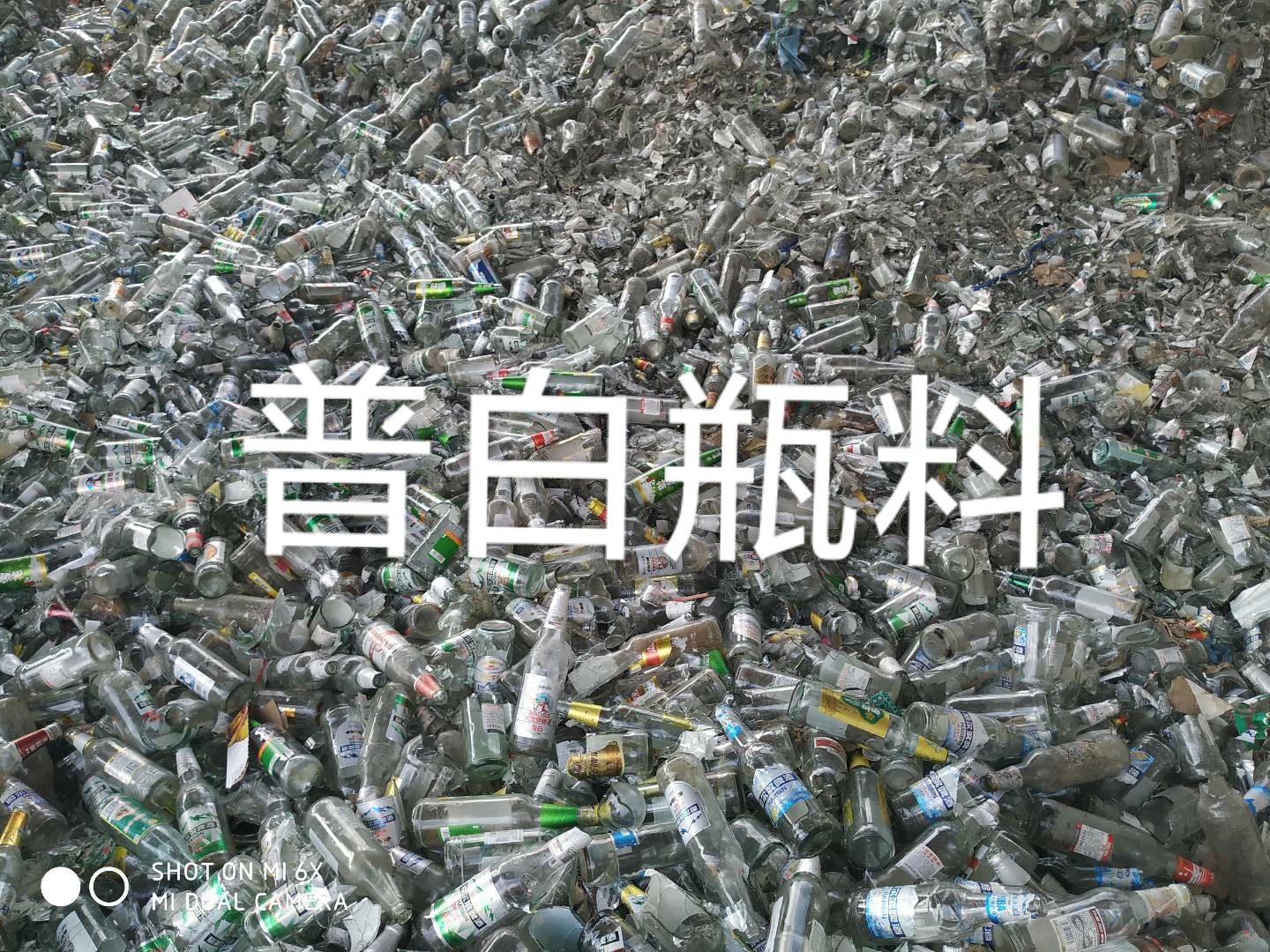 滨海普白瓶料回收